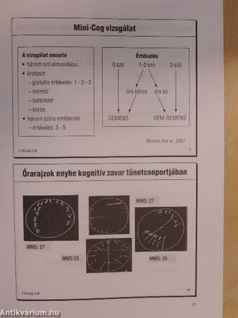 Az időskor pszichiátriája a mindennapi gyakorlatban