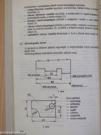 Természettudományi összefoglaló