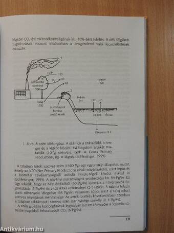 A globális klímaváltozás természetföldrajza