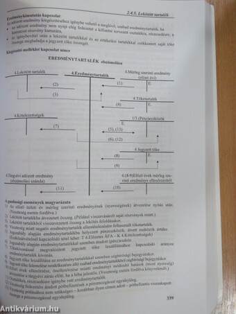 Számviteli esettanulmányok 2006.