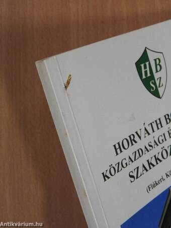 Horváth Boldizsár Közgazdasági és Informatikai Szakközépiskola