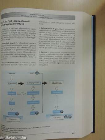 A klinikai endokrinológia és anyagcsere-betegségek kézikönyve 