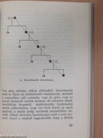 Társadalmak születése