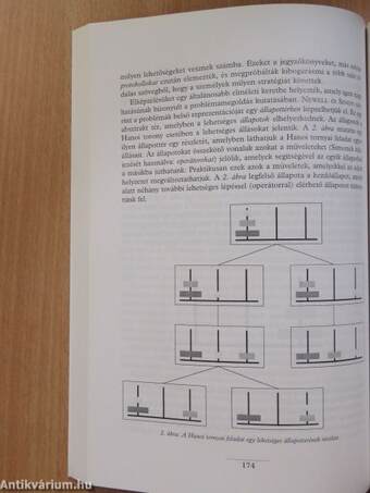 Fejezetek a pszichológia alapterületeiből