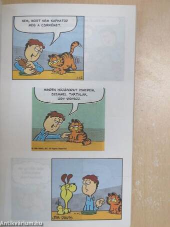 Garfield, a gazdiszomorító