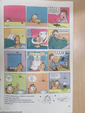 Garfield 1990/11.