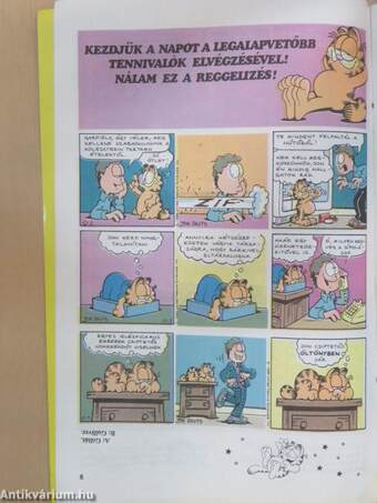 Garfield 1990/10.