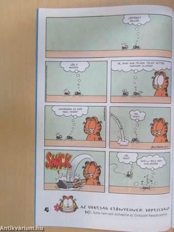 Garfield 1999/5.