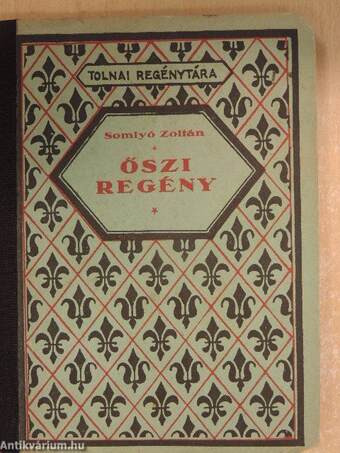 Őszi regény