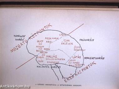 Physiologiai és psychologiai aesthetika