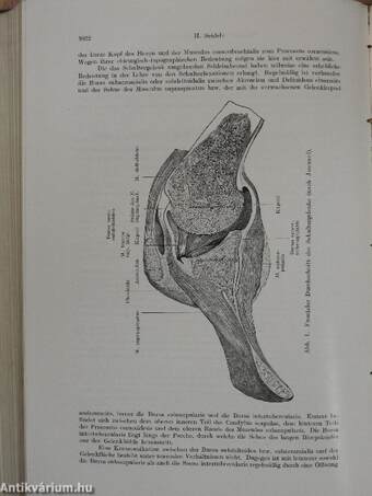 Die Schußverletzungen des Bauches und der Nieren/Die Schußverletzungen der oberen Extremität mit besonderer Berücksichtigung der Schußfrakturen/Die habituelle Schulterluxation/Die Luxatio cubiti anterior/Die Dupuytrensche Fingerkontraktur