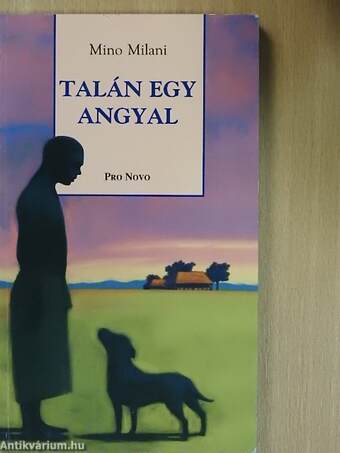 Talán egy angyal