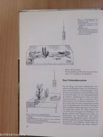 Das Züchten von Terrarientieren (dedikált példány)