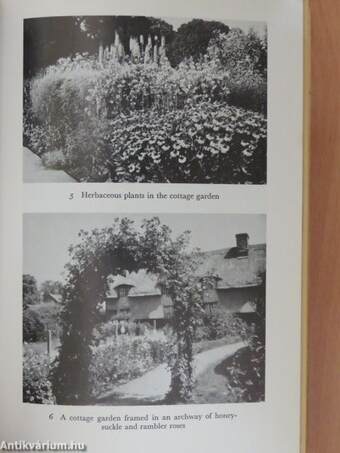 The Cottage Garden and the Old-Fashioned Flowers