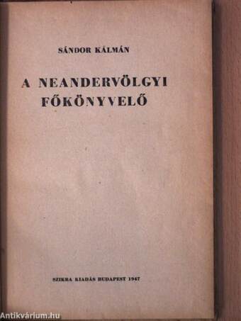 A neandervölgyi főkönyvelő