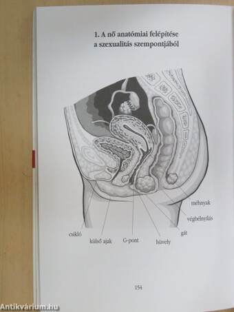 Szenvedélyek forró ketrece