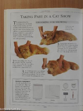 Complete Cat Care Manual