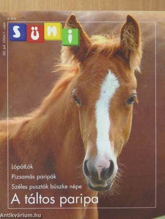 Süni 2004/1.