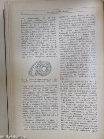 Természettudományi Közlöny 1930. január-december/Pótfüzetek a Természettudományi Közlönyhöz 1930. január-december