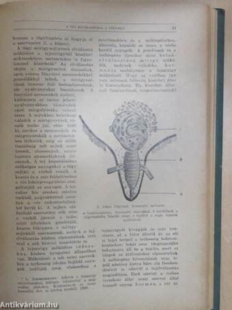 Természettudományi Közlöny 1930. január-december/Pótfüzetek a Természettudományi Közlönyhöz 1930. január-december