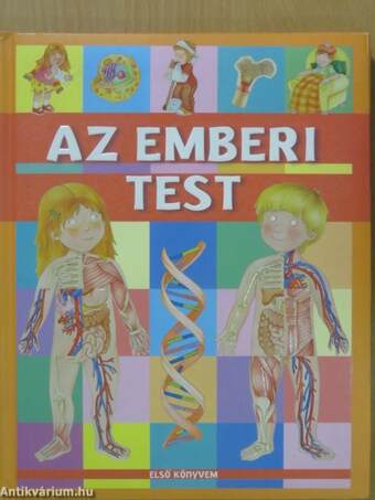 Az emberi test