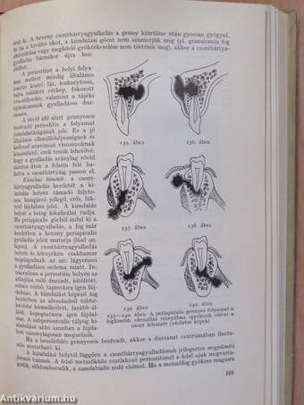 Fogászati pathologia (dedikált példány)