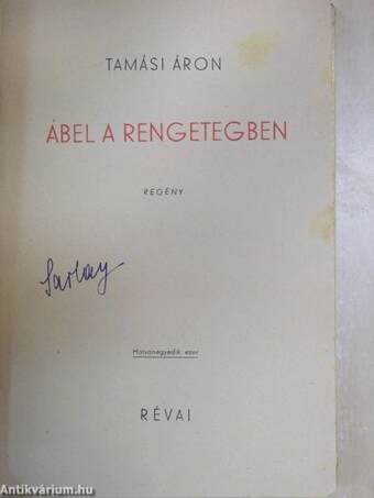 Ábel a rengetegben