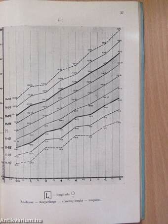 Az iskolás gyermek testi méretei (dedikált példány)