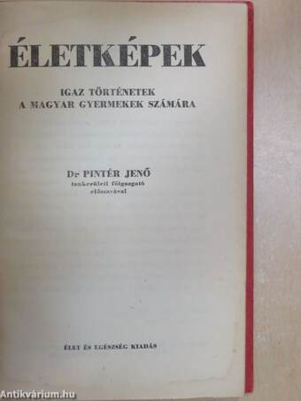 Életképek