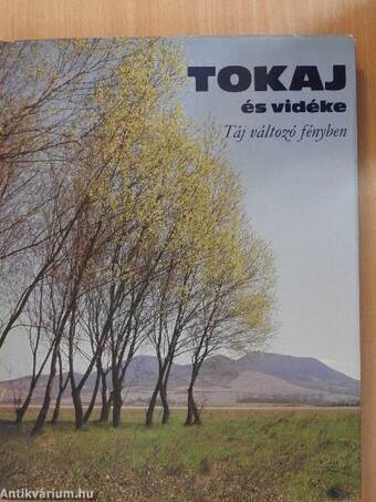 Tokaj és vidéke