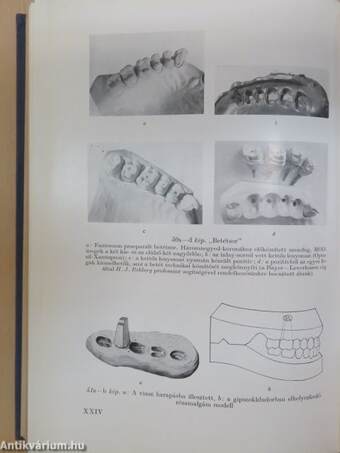 Cariologia és endodontia