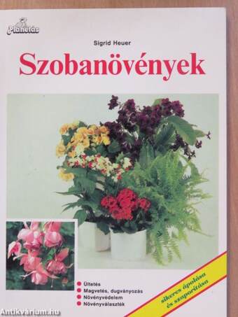 Szobanövények