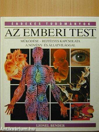 Az emberi test