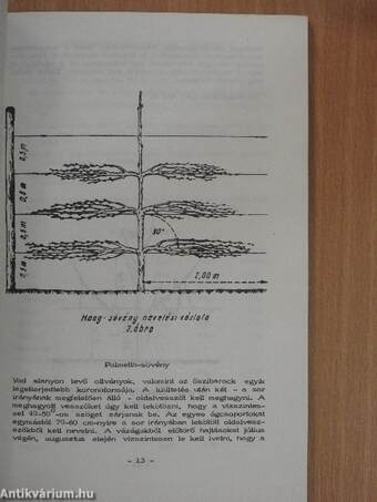 Faiskolai árjegyzék 1973. ősz - 1974. tavasz