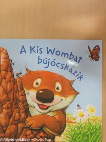 A Kis Wombat bújócskázik