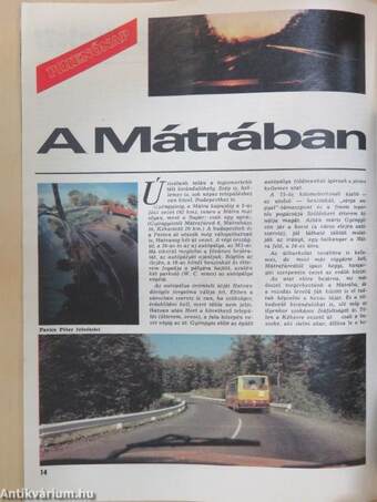 Autó-Motor 1982. (nem teljes évfolyam)/Autó-Motor Magazin 1982. nyár, ősz