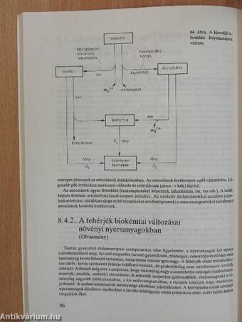 Biokémia IV.