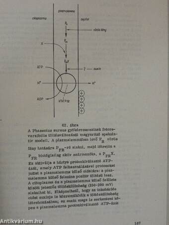 Növényélettani praktikum