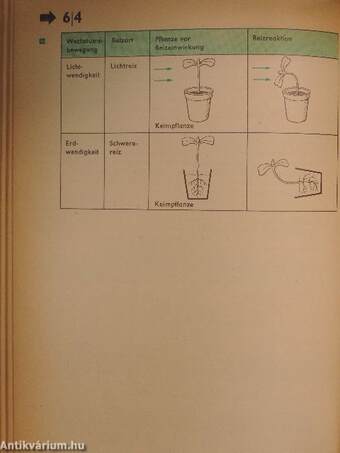 Biologie in Übersichten