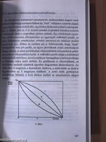 Amortizációelmélet