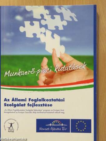 Munkaerő-piaci kutatások