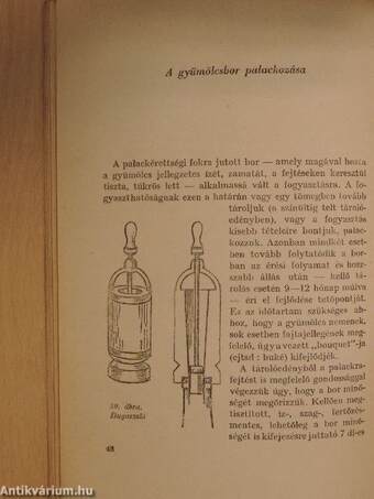 Gyümölcsborok házi készítése