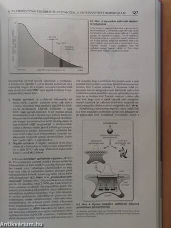 Az immunológia alapjai