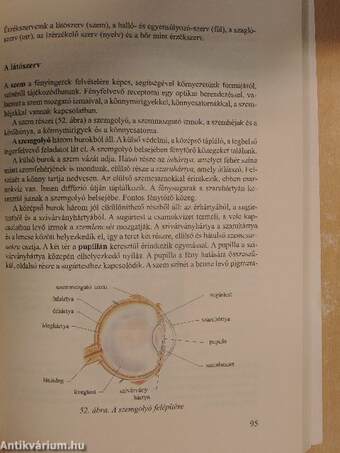 Biológia kozmetikusoknak