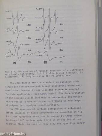 Brownian Motion and Spin Relaxation