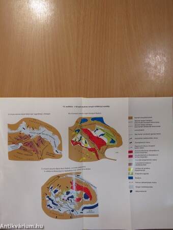 A Kárpát-medence miocén ősföldrajza (dedikált példány)