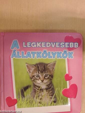 A legkedvesebb állatkölykök