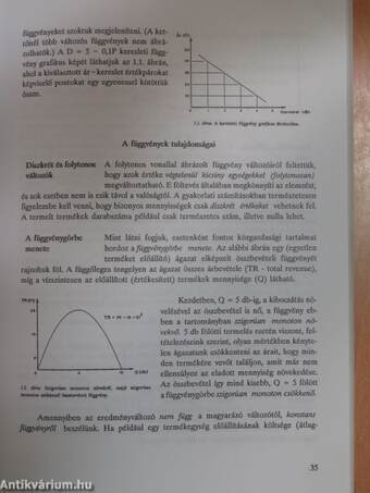 Közgazdaságtan I.