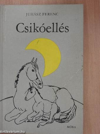 Csikóellés