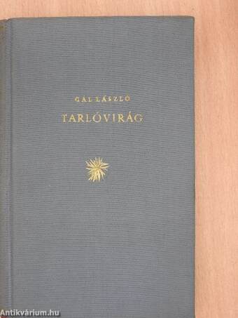 Tarlóvirág